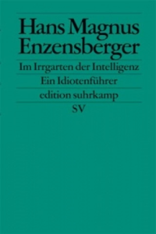 Könyv Im Irrgarten der Intelligenz Hans Magnus Enzensberger