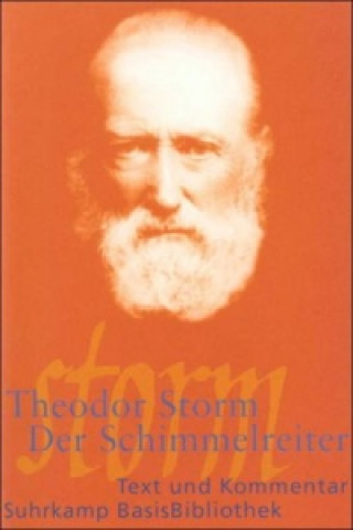 Könyv Der Schimmelreiter Theodor Storm