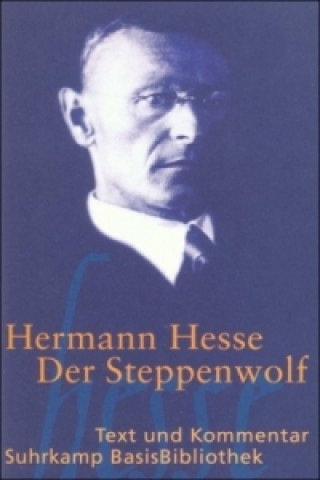 Книга Der Steppenwolf Hermann Hesse