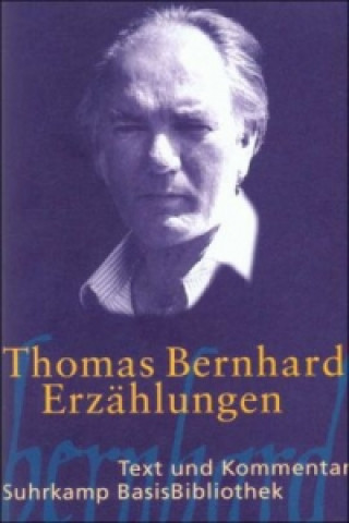 Book Erzählungen Hans Höller