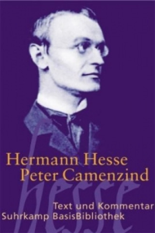 Könyv Peter Camenzind Hermann Hesse