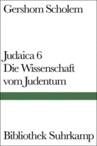 Könyv Judaica. Tl.6 Peter Schäfer