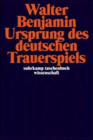 Könyv Ursprung des deutschen Trauerspiels Walter Benjamin