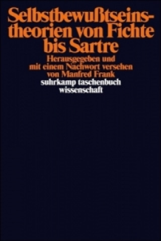 Kniha Selbstbewußtseinstheorien von Fichte bis Sartre Manfred Frank