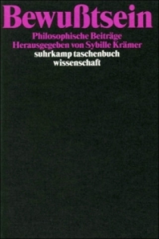 Kniha Bewußtsein Sybille Krämer