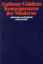 Könyv Konsequenzen der Moderne Anthony Giddens