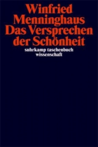 Kniha Das Versprechen der Schönheit Winfried Menninghaus