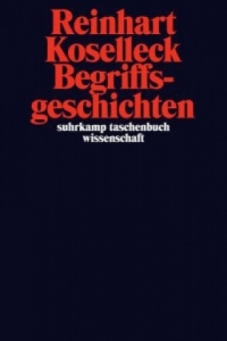 Buch Begriffsgeschichten Reinhart Koselleck