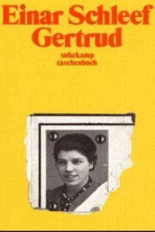 Kniha Gertrud Einar Schleef