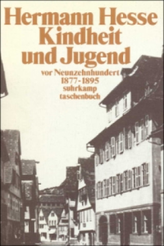 Könyv Kindheit und Jugend vor Neunzehnhundert Hermann Hesse