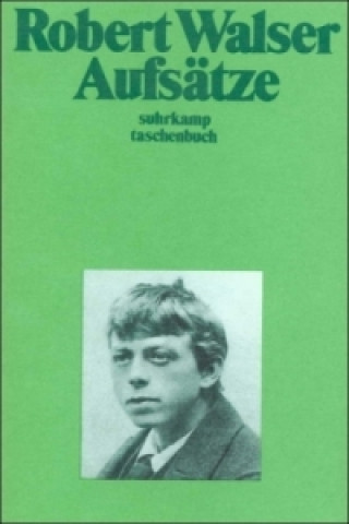Könyv Sämtliche Werke in zwanzig Bänden Robert Walser