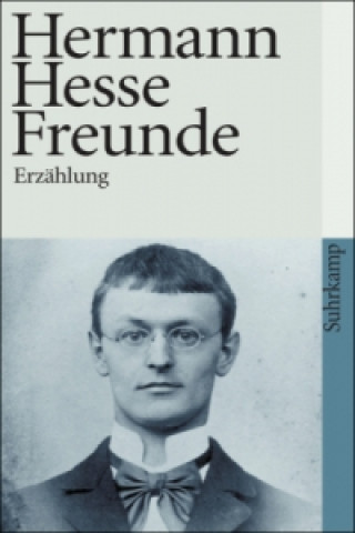 Carte Freunde Hermann Hesse