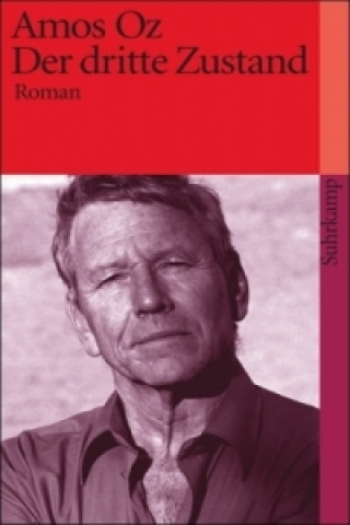 Book Der dritte Zustand Amos Oz