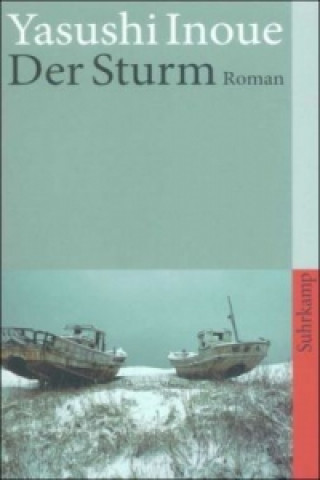 Buch Der Sturm Andreas Mrugalla