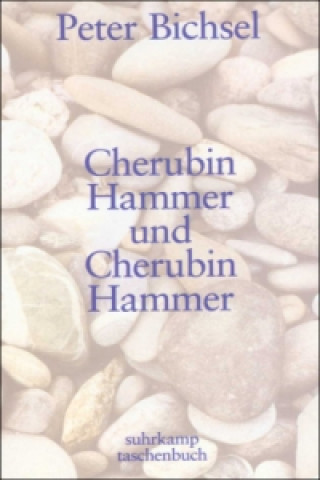 Kniha Cherubin Hammer und Cherubin Hammer Peter Bichsel