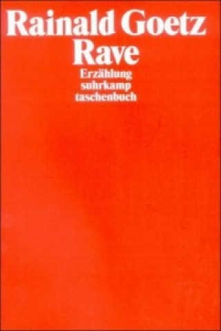 Buch Rave Rainald Goetz