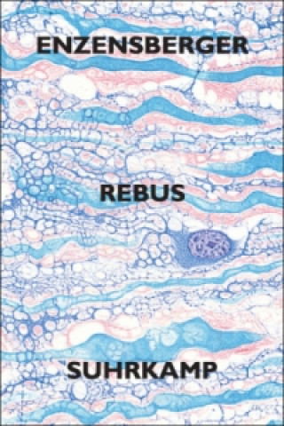 Libro Rebus Hans M. Enzensberger