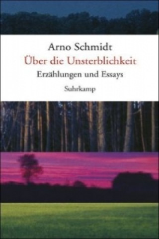 Könyv Über die Unsterblichkeit Arno Schmidt