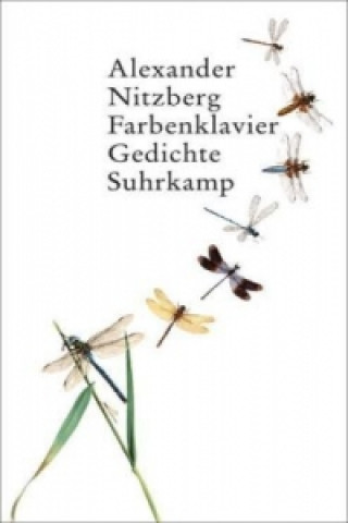 Könyv Farbenklavier Alexander Nitzberg