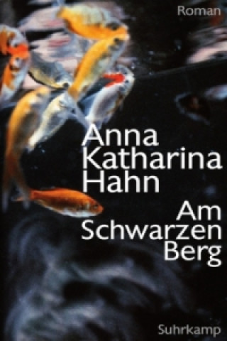 Könyv Am Schwarzen Berg Anna K. Hahn