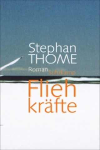 Könyv Fliehkräfte Stephan Thome