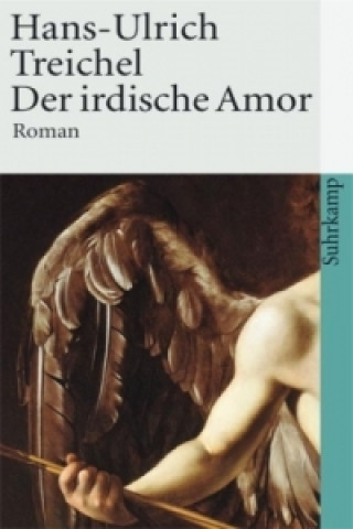 Buch Der irdische Amor Hans-Ulrich Treichel