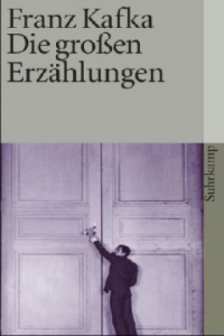 Könyv Die großen Erzählungen Franz Kafka