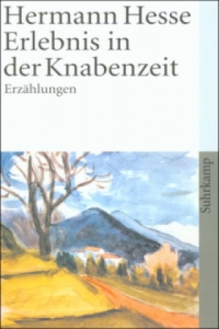 Könyv Erlebnis in der Knabenzeit Hermann Hesse