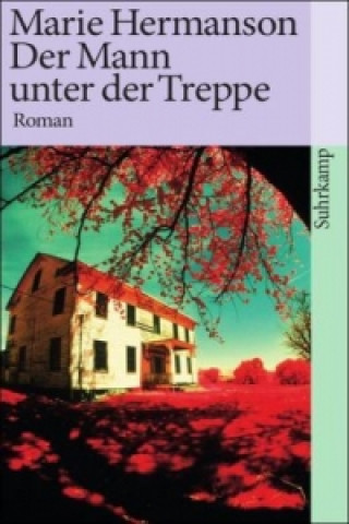 Buch Der Mann unter der Treppe Marie Hermanson