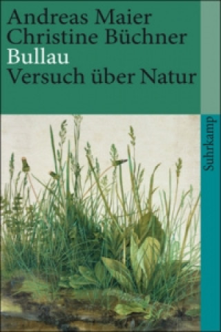 Könyv Bullau Andreas Maier