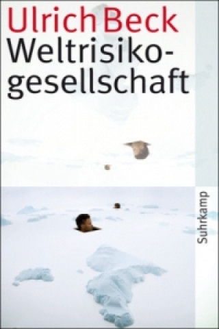 Könyv Weltrisikogesellschaft Ulrich Beck