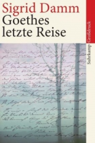 Carte Goethes letzte Reise, Großdruck Sigrid Damm