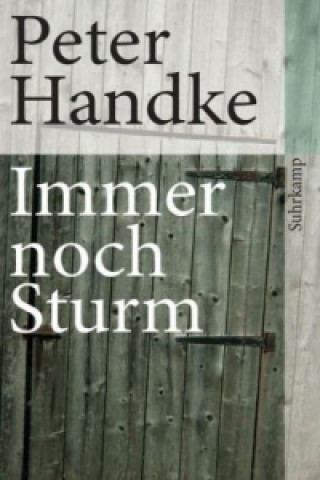 Könyv Immer noch Sturm Peter Handke