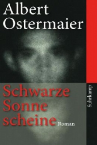 Kniha Schwarze Sonne scheine Albert Ostermaier