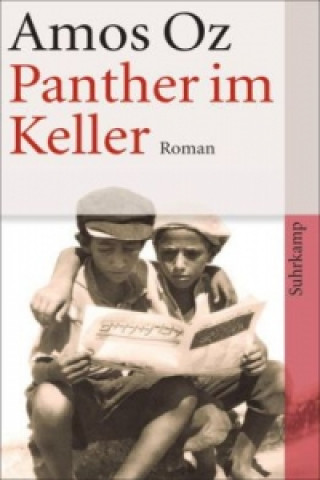 Kniha Panther im Keller Amos Oz