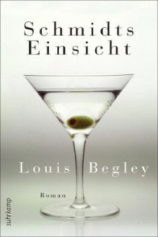 Kniha Schmidts Einsicht Louis Begley