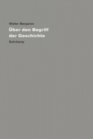 Książka Über den Begriff der Geschichte Gérard Raulet