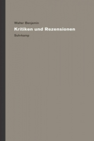 Kniha Kritiken und Rezensionen, 2 Bde. Heinrich Kaulen
