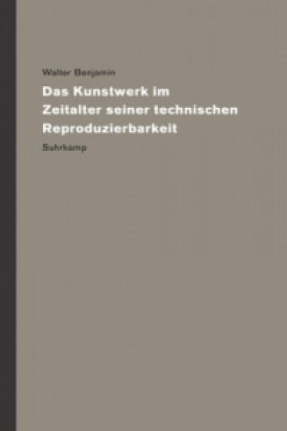 Könyv Werke und Nachlaß. Kritische Gesamtausgabe Walter Benjamin