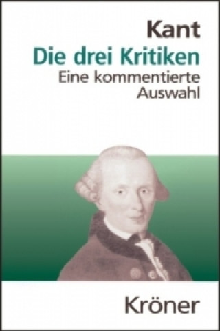 Kniha Die drei Kritiken Raymund Schmidt
