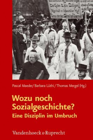 Kniha Wozu noch Sozialgeschichte? Pascal Maeder