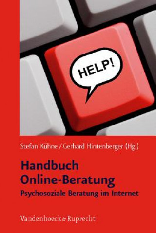 Kniha Handbuch Online-Beratung Stefan Kühne