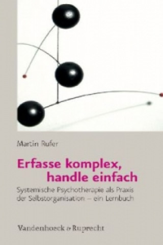 Carte Erfasse komplex, handle einfach Martin Rufer
