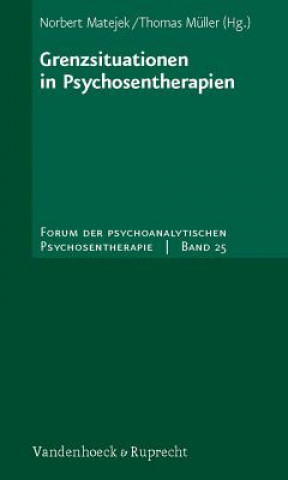 Buch Grenzsituationen in Psychosentherapien Norbert Matejek