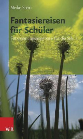 Book Fantasiereisen fur Schuler Meike Stein