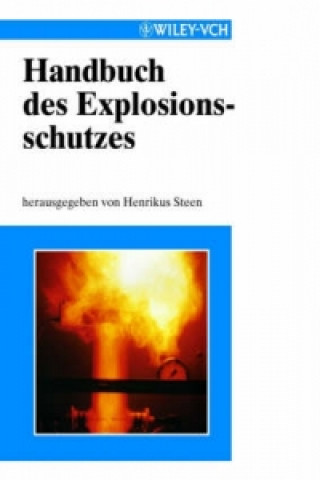 Kniha Handbuch Des Explosionsschutzes Henrikus Steen