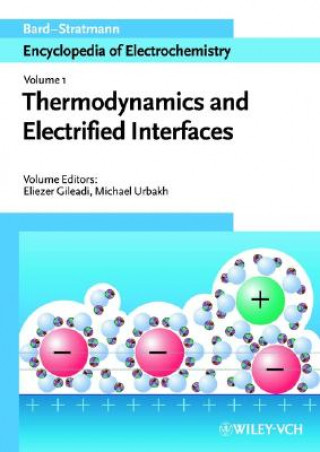 Βιβλίο Thermodynamics and Electrified Interfaces Eliezer Gileadi