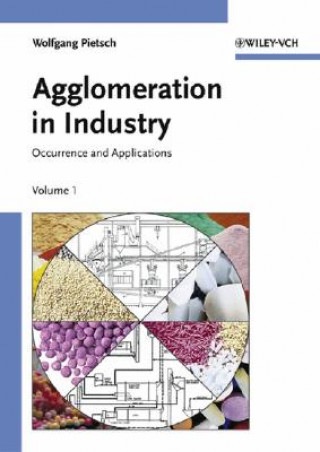 Kniha Agglomeration in Industry Wolfgang Pietsch