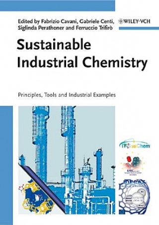 Kniha Sustainable Industrial Chemistry Fabrizio Cavani