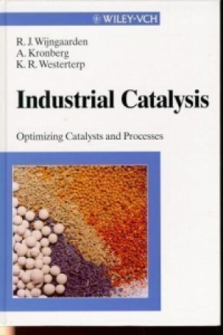 Книга Industrial Catalysis Ruud J. Wijngaarden
